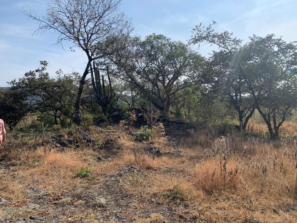 terreno-urbano-en-chiconcuac-xochitepec-morelos-caen662tu10-32421