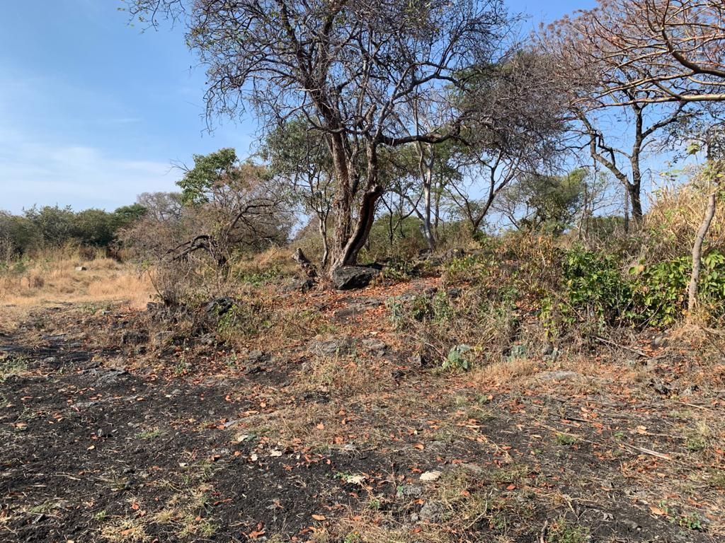 terreno-urbano-en-chiconcuac-xochitepec-morelos-caen662tu12-32421