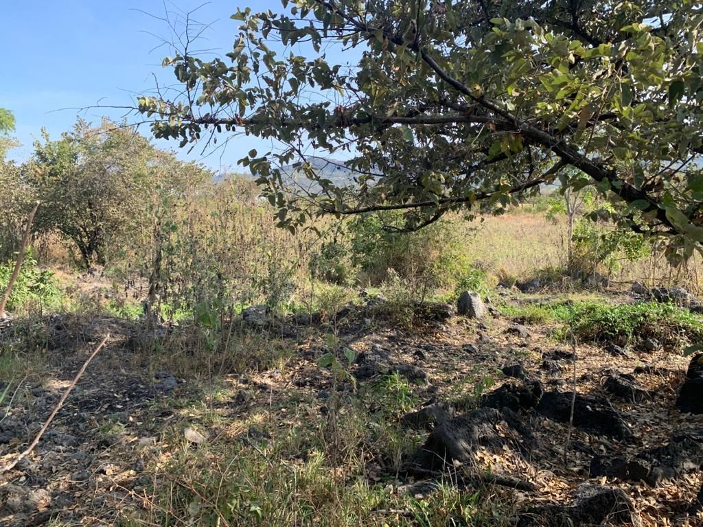 terreno-urbano-en-chiconcuac-xochitepec-morelos-caen662tu23-32421