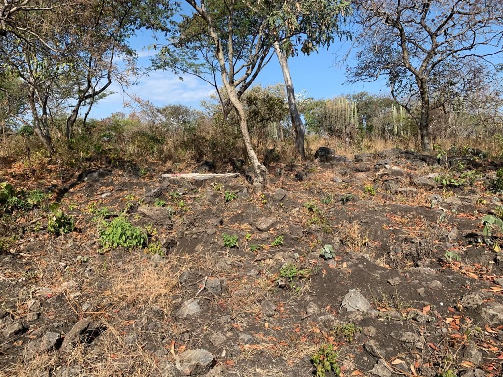 terreno-urbano-en-chiconcuac-xochitepec-morelos-caen662tu29-32421