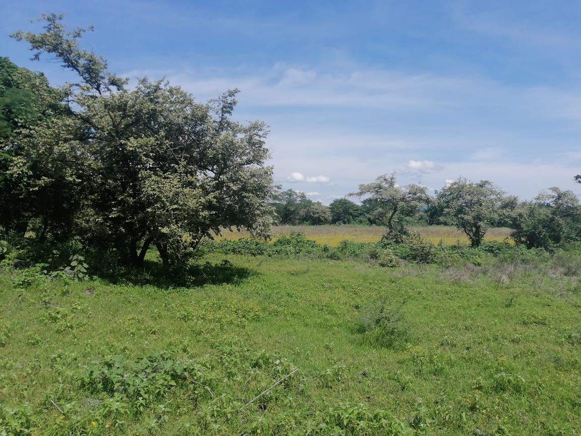 terreno-urbano-en-chiconcuac-xochitepec-morelos-caen662tu3-32421
