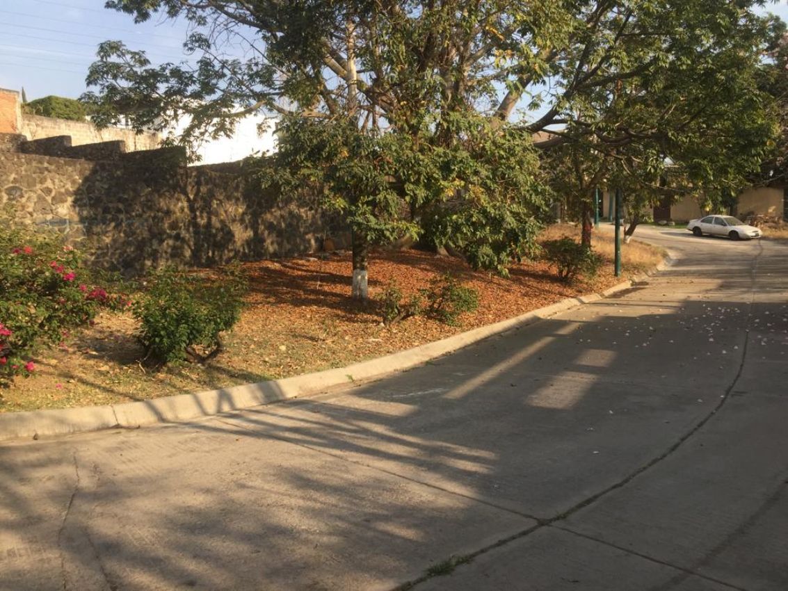 terreno-urbano-en-palmira-tinguindin-cuernavaca-morelos-caen444tu10-32381