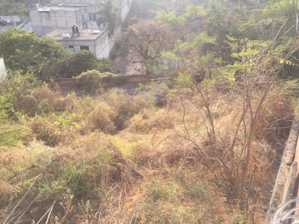 terreno-urbano-en-palmira-tinguindin-cuernavaca-morelos-caen444tu14-32381