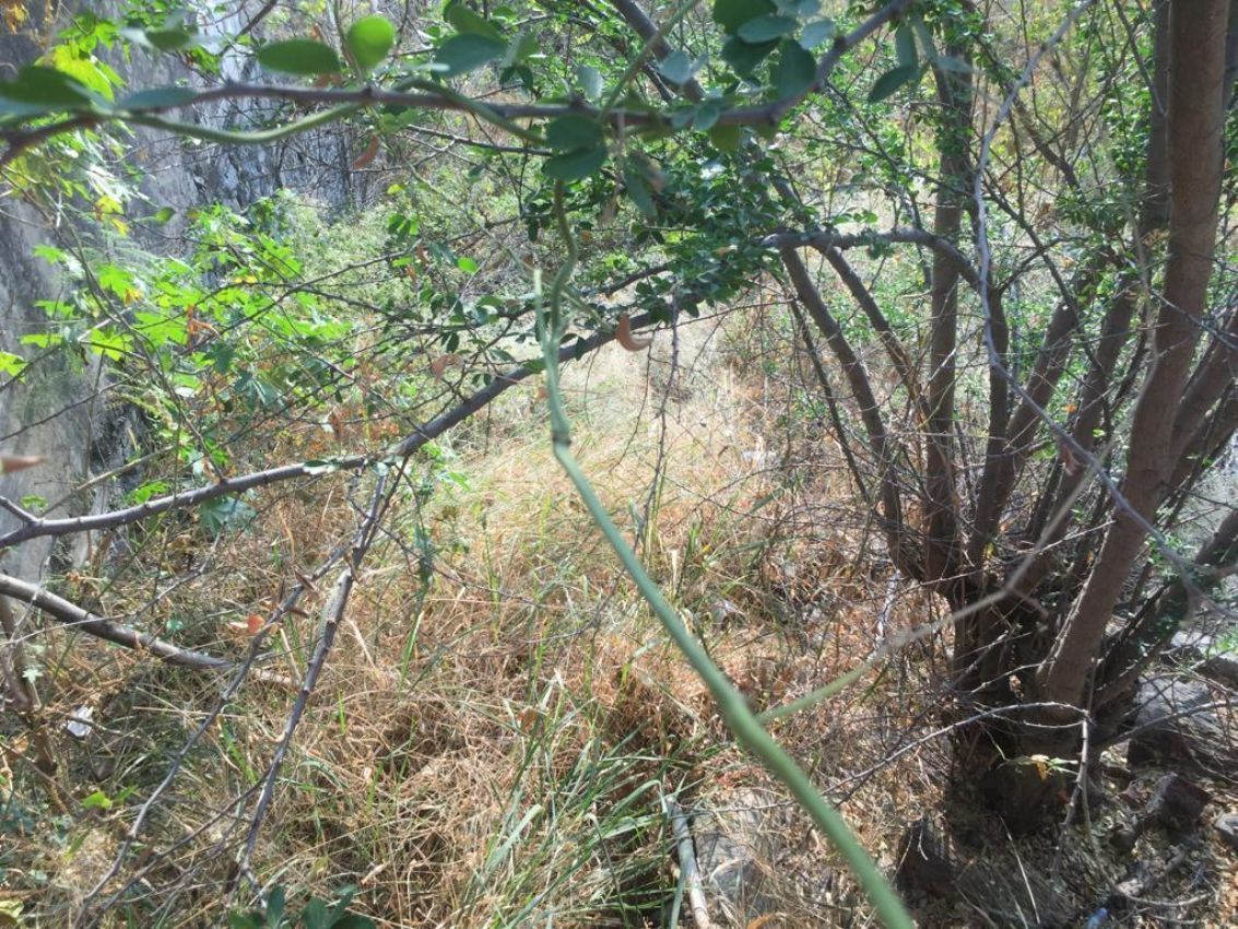 terreno-urbano-en-palmira-tinguindin-cuernavaca-morelos-caen444tu15-32381