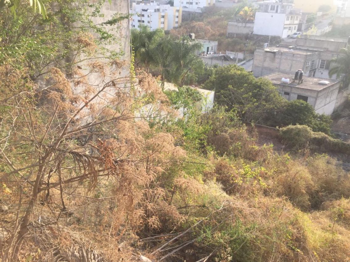 terreno-urbano-en-palmira-tinguindin-cuernavaca-morelos-caen444tu7-32381