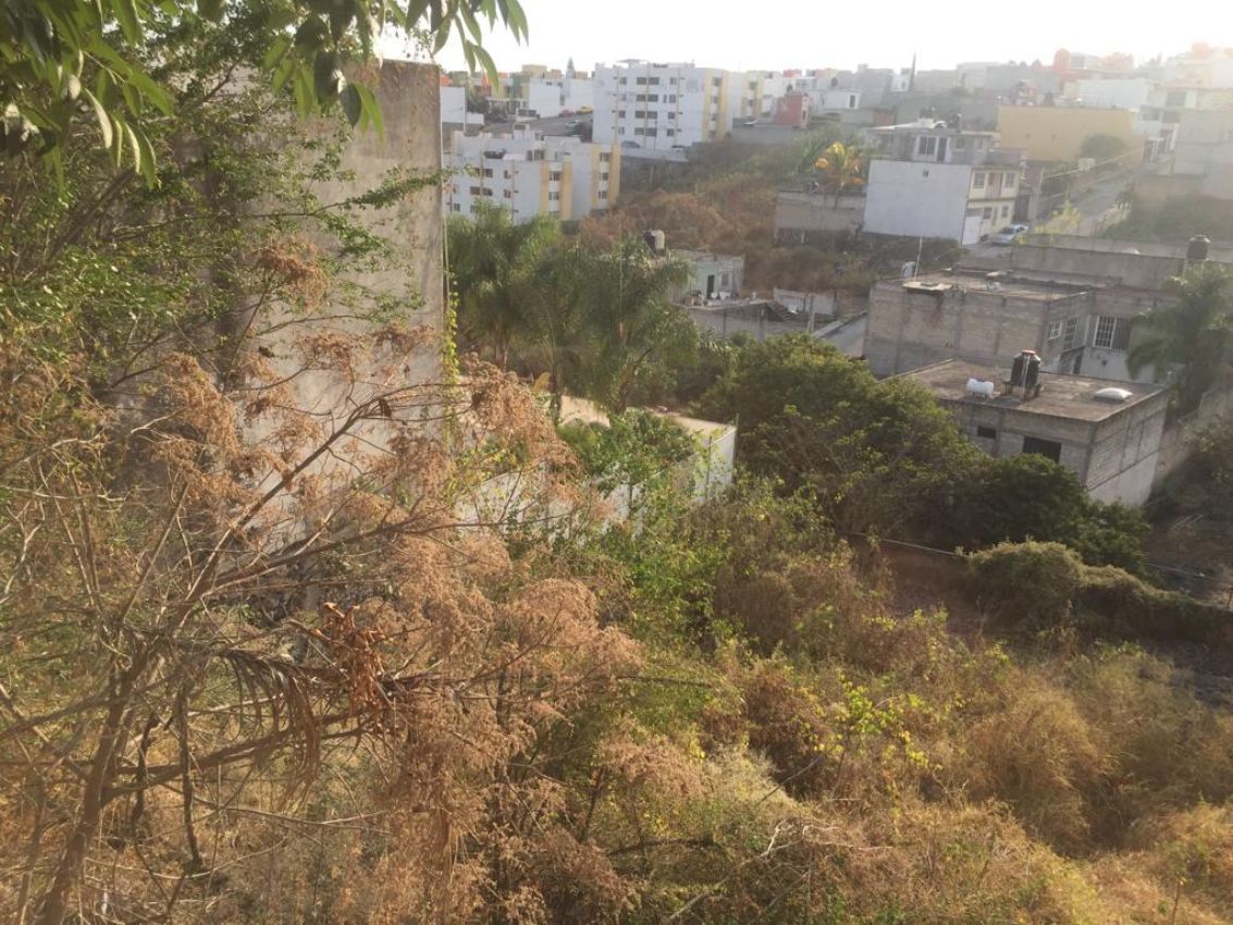 terreno-urbano-en-palmira-tinguindin-cuernavaca-morelos-caen444tu8-32381