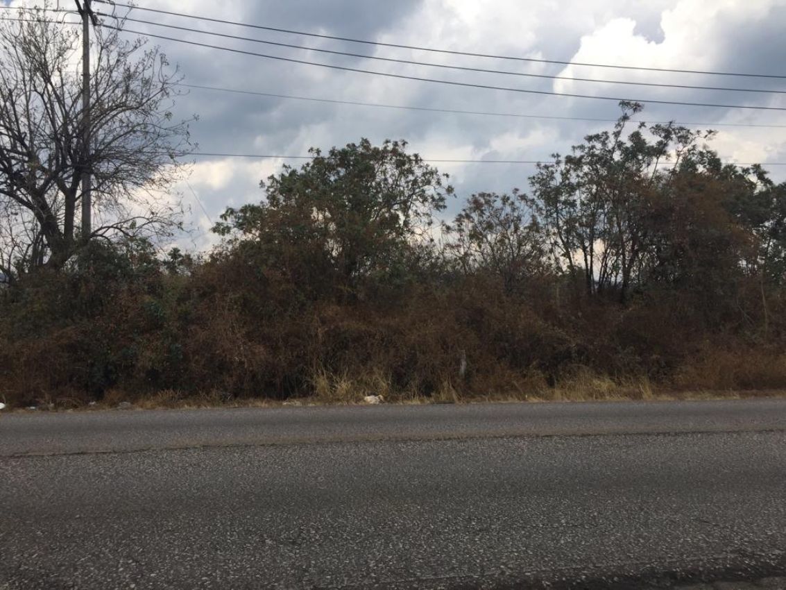 Terreno Urbano en Santa Catarina, Tepoztlán, Morelos CAEN-60-Tu