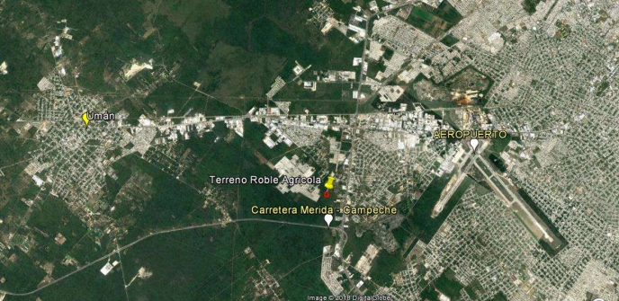 terrenolote-en-venta-en-mrida-roble--agricola-de-1-hectrea-listo2-14568