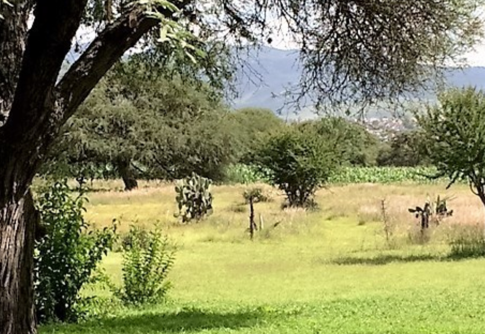 terrenos--agua-y-luz-en-venta-col-palmita-de-landeta-en-san-miguel-de-allende3-13125
