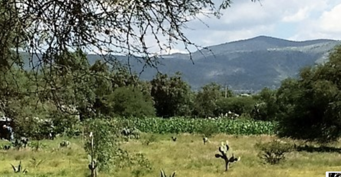 terrenos--agua-y-luz-en-venta-col-palmita-de-landeta-en-san-miguel-de-allende8-13125