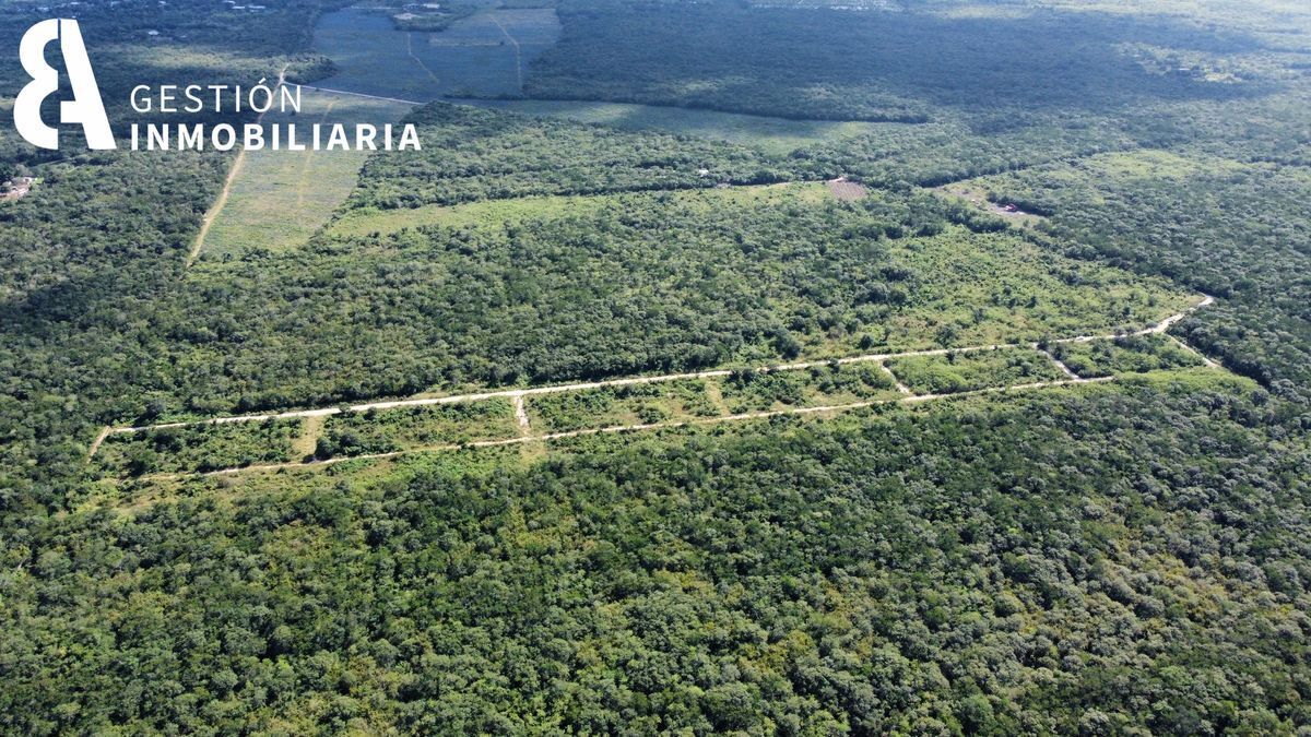 terrenos-campestres-baca-yucatn-ctv27010-32587