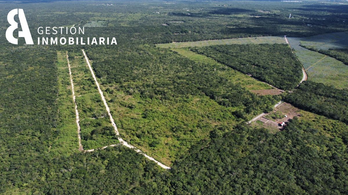 terrenos-campestres-baca-yucatn-ctv27011-32587