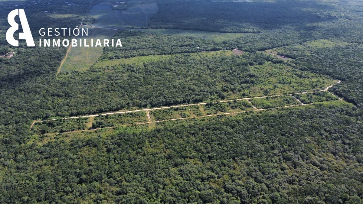 terrenos-campestres-baca-yucatn-ctv27013-32587
