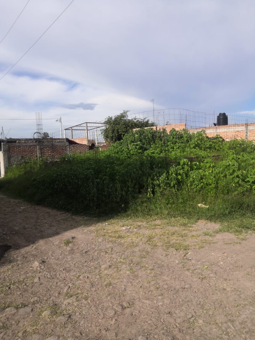 terrenos-campestres-en-venta-san-luis-soyatlan-jalisco8-22999