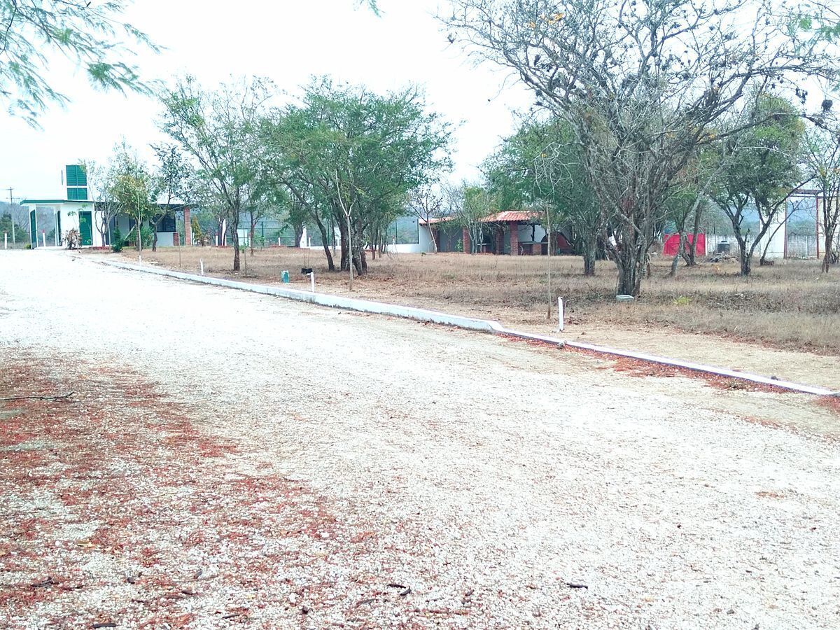terrenos-econmicos-en-venta2-26753