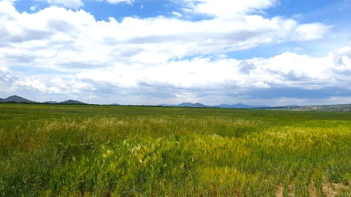 terrenos-en-venta-en-acopinalco-estado-de-hidalgo3-38062