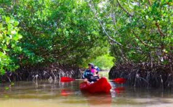 terrenos-en-venta-en-la-cristalina-carmen-campeche-belleza-natural5-12329