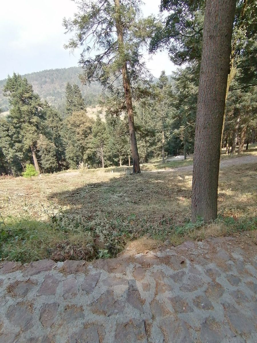 terrenos-en-venta-en-salazar-lerma-edo-mex14-17517