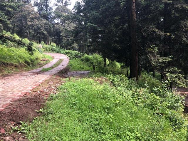 terrenos-en-venta-en-salazar-lerma-edo-mex3-17517