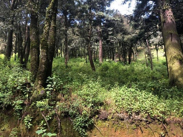 terrenos-en-venta-en-salazar-lerma-edo-mex4-17517