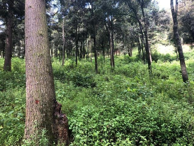 terrenos-en-venta-en-salazar-lerma-edo-mex5-17517