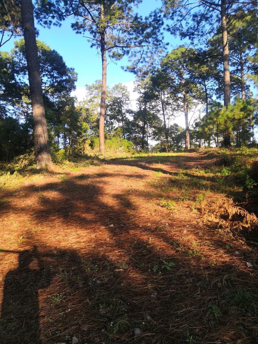 terrenos-en-venta-mazamitla-jal12-23002