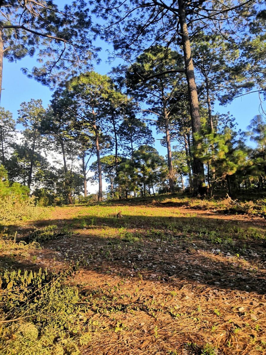 terrenos-en-venta-mazamitla-jal19-23002