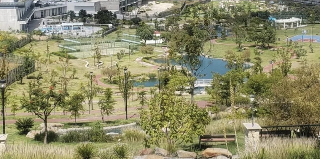 terrenos-en-venta4-30536