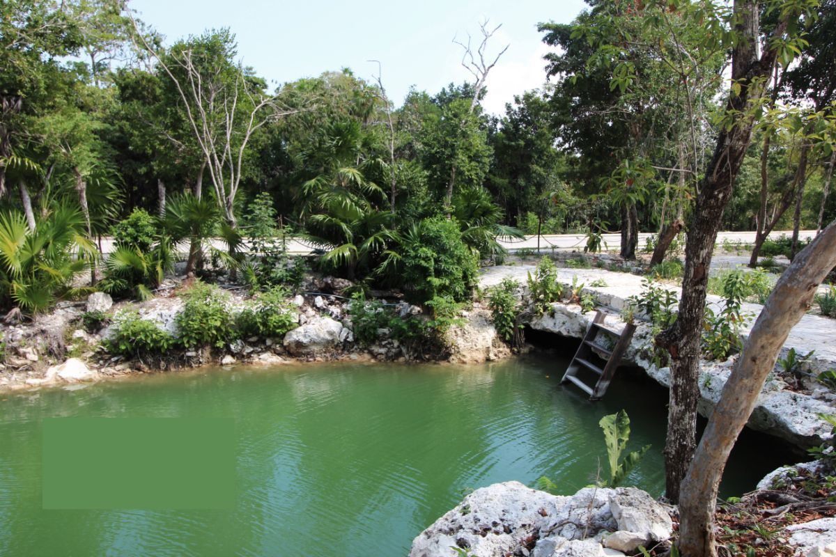 terrenos-residenciales-en-venta-riviera-maya-quintana-roo11-19684
