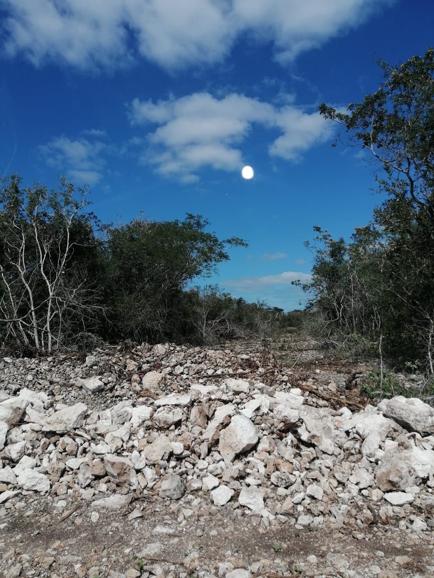 trevento-lotes-semiurbanizados-en-mrida-yucatn4-37190
