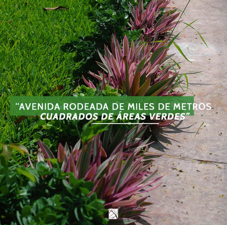 ultimo-lote--en-venta-parque-natura-mrida32-19801