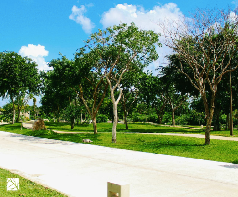 ultimo-lote--en-venta-parque-natura-mrida33-19801