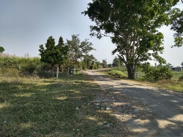 vendo-2-terrenos-en-avenida-real-diamante-fresnal3-27647