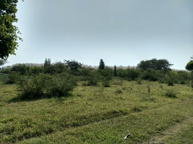vendo-2-terrenos-en-avenida-real-diamante-fresnal4-27647