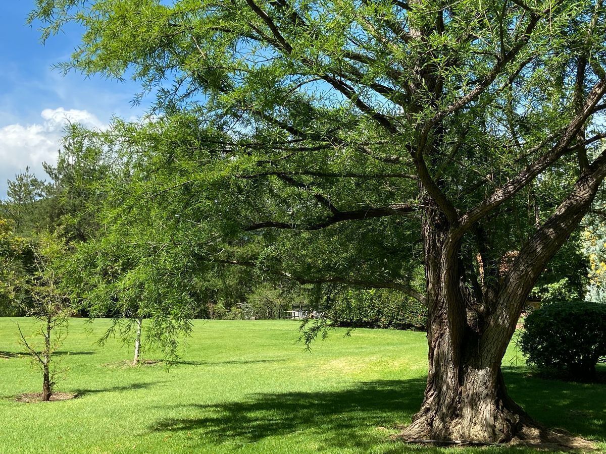 vendo-hermosa-casa-de-campo-en-san-miguel-regla-huasca-de-ocampo-pueblo-mgico32-23695