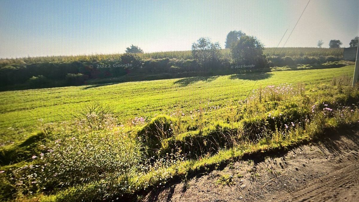 vendo-terreno-en-santa-cruz-cuauhtenco-zinacantepec4-33829