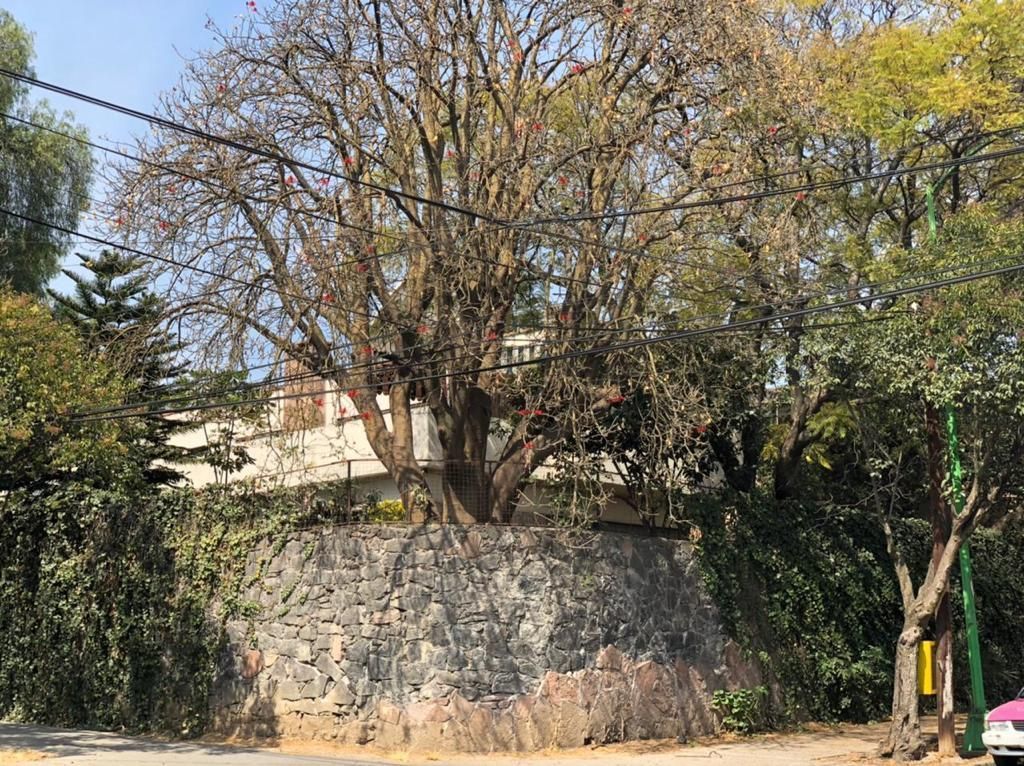 venta-casa-en-lomas-de-chapultepec-esquina-paseo-de-las-palmas6-30947