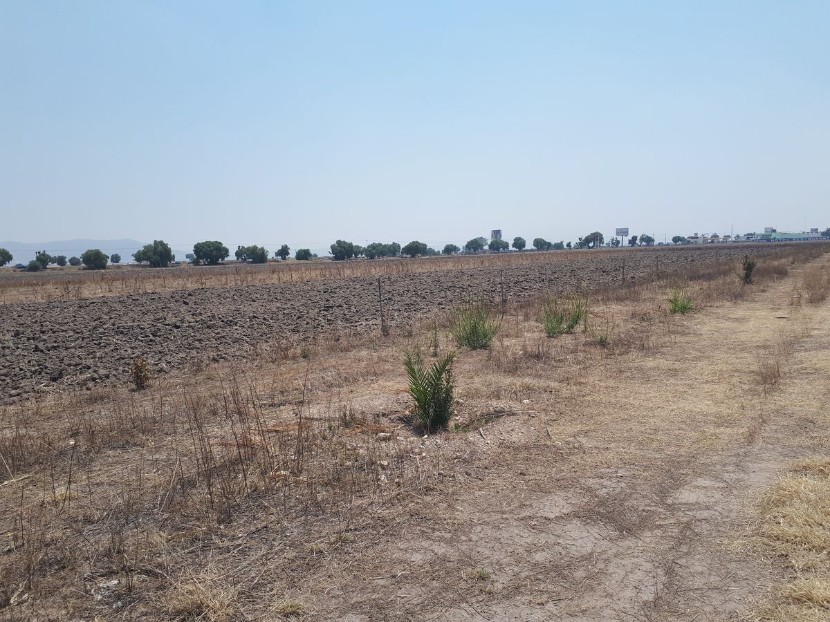 venta-de-terreno-2000-m2-atrs-restaurante-la-carika-san-pedro-zapotlan-hidalgo13-38137