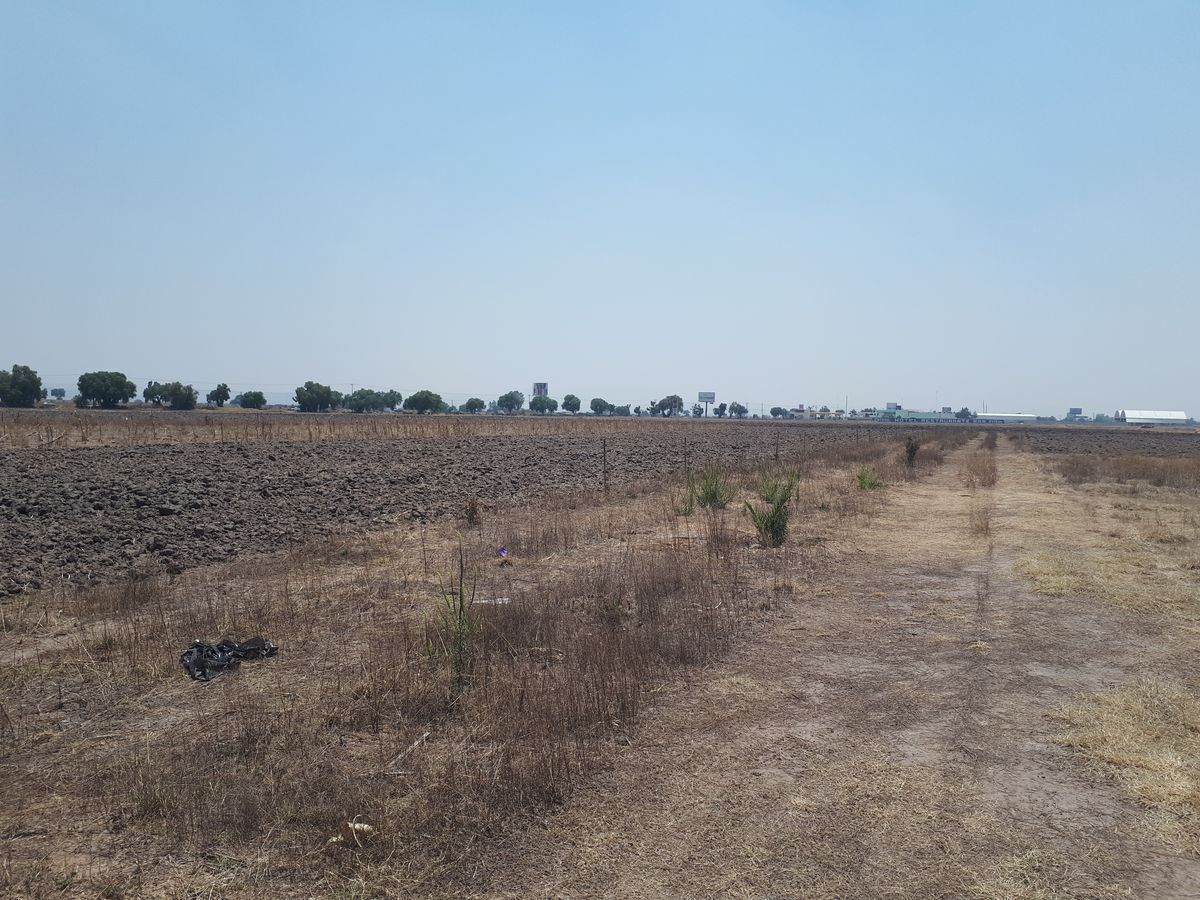 venta-de-terreno-2000-m2-atrs-restaurante-la-carika-san-pedro-zapotlan-hidalgo5-38137