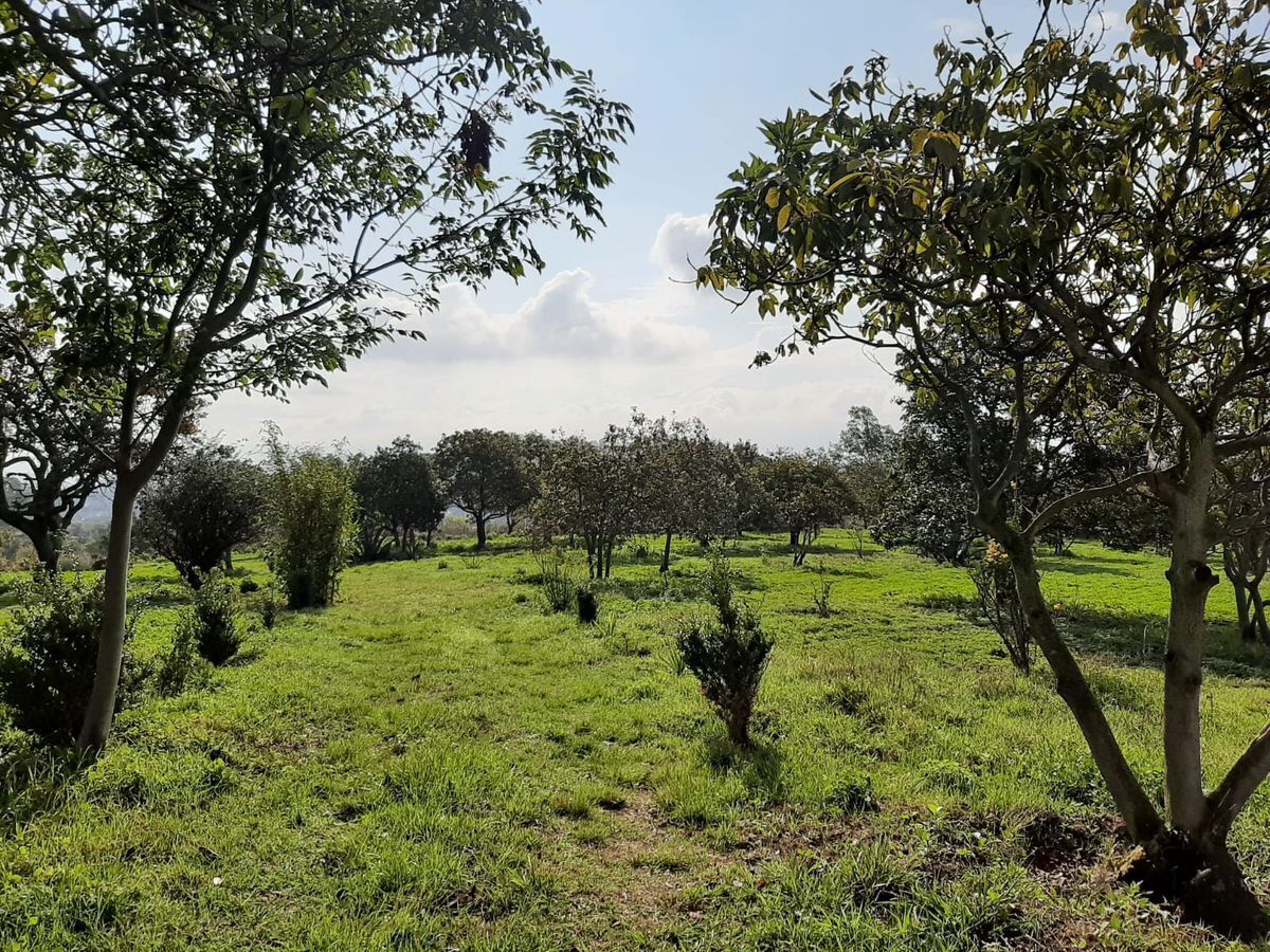 venta-de-terreno-amecameca-estado-de-mexico3-13784