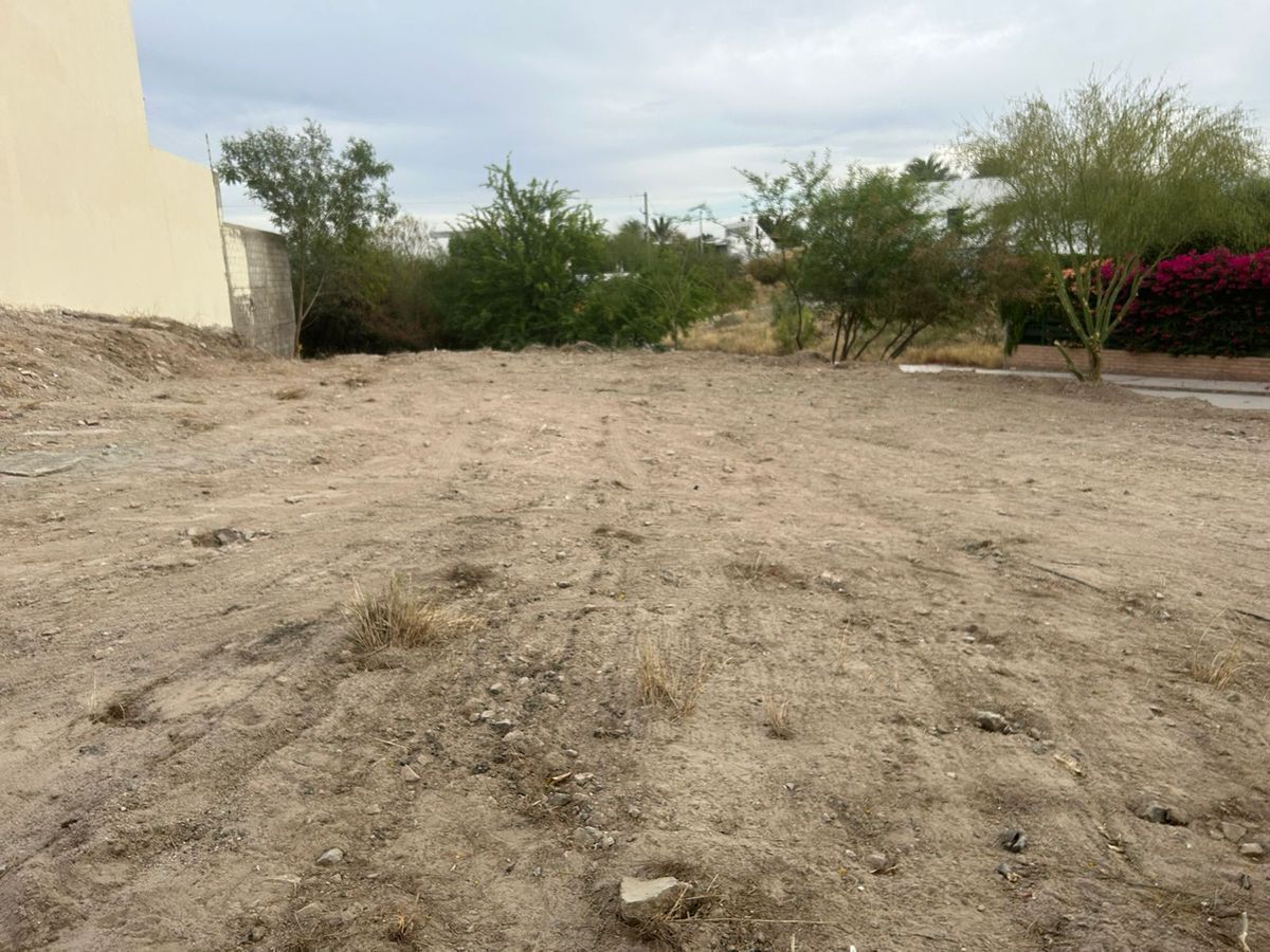 venta-de-terreno-colonia-lomas-altas6-37283