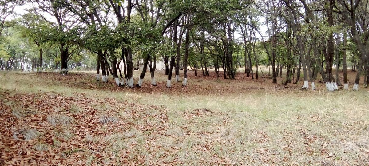 venta-de-terreno-en-loma-de-cuevas-villa-del-carbn8-37942