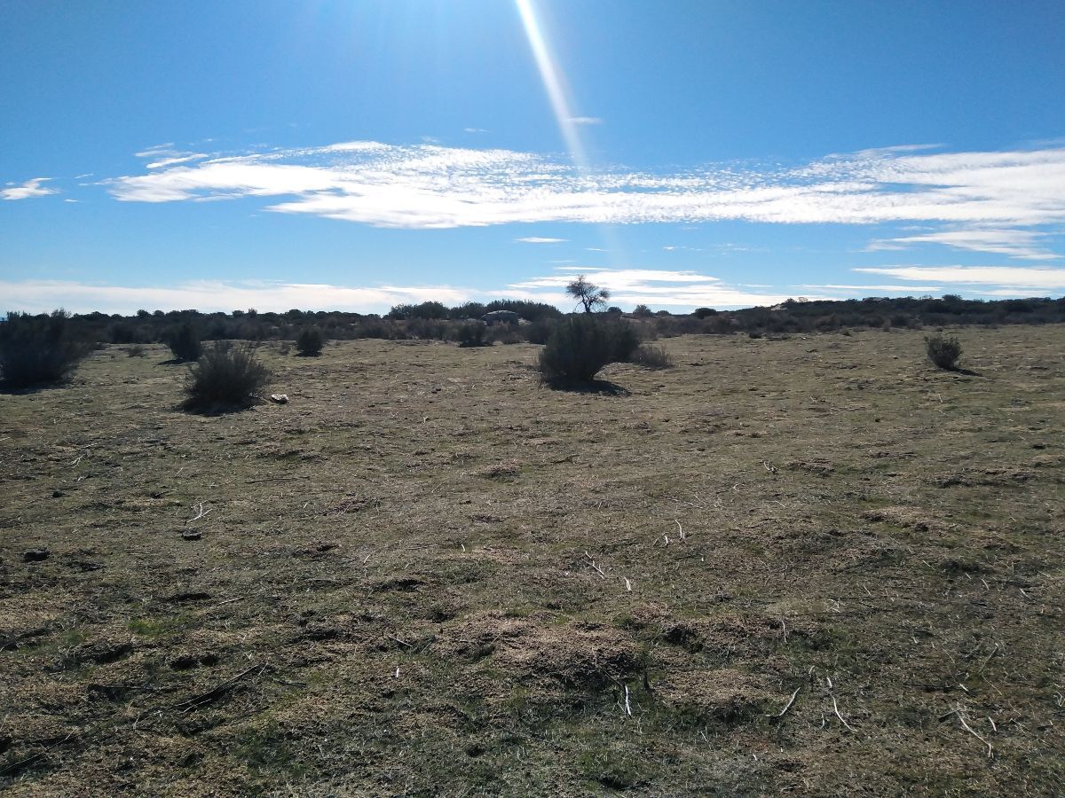 venta-de-terrenos-semirusticos--loma-tova-el-encinal11-35103