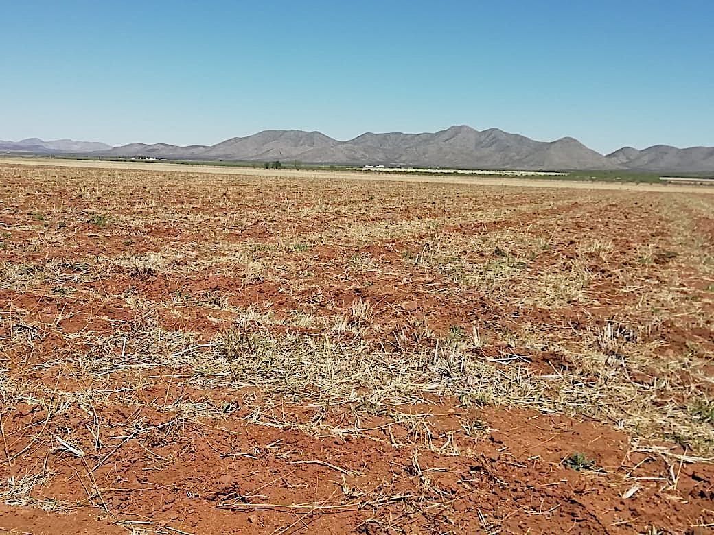 venta-de-tierras-de-cultivo--zona-sauz8-33067