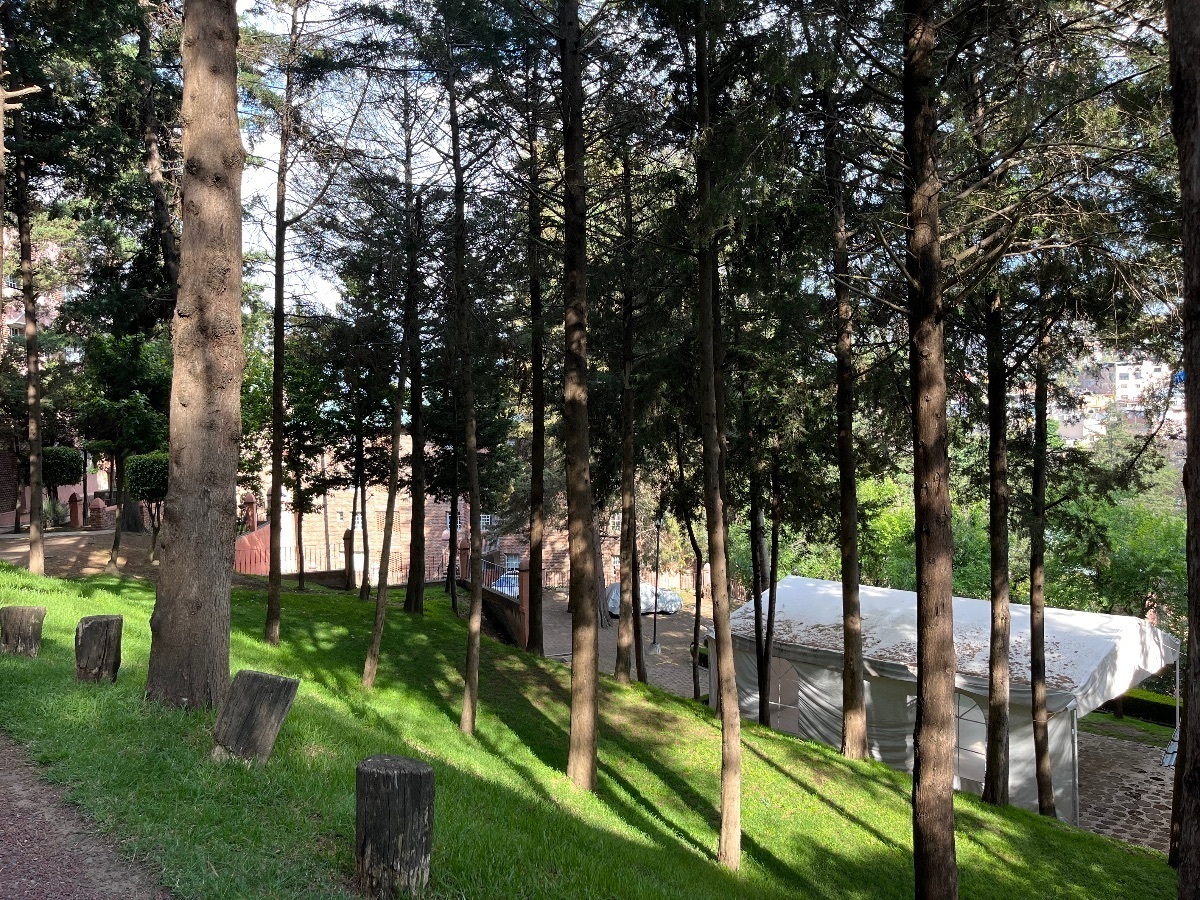 venta-departamento-en-desierto-de-los-leones24-35088