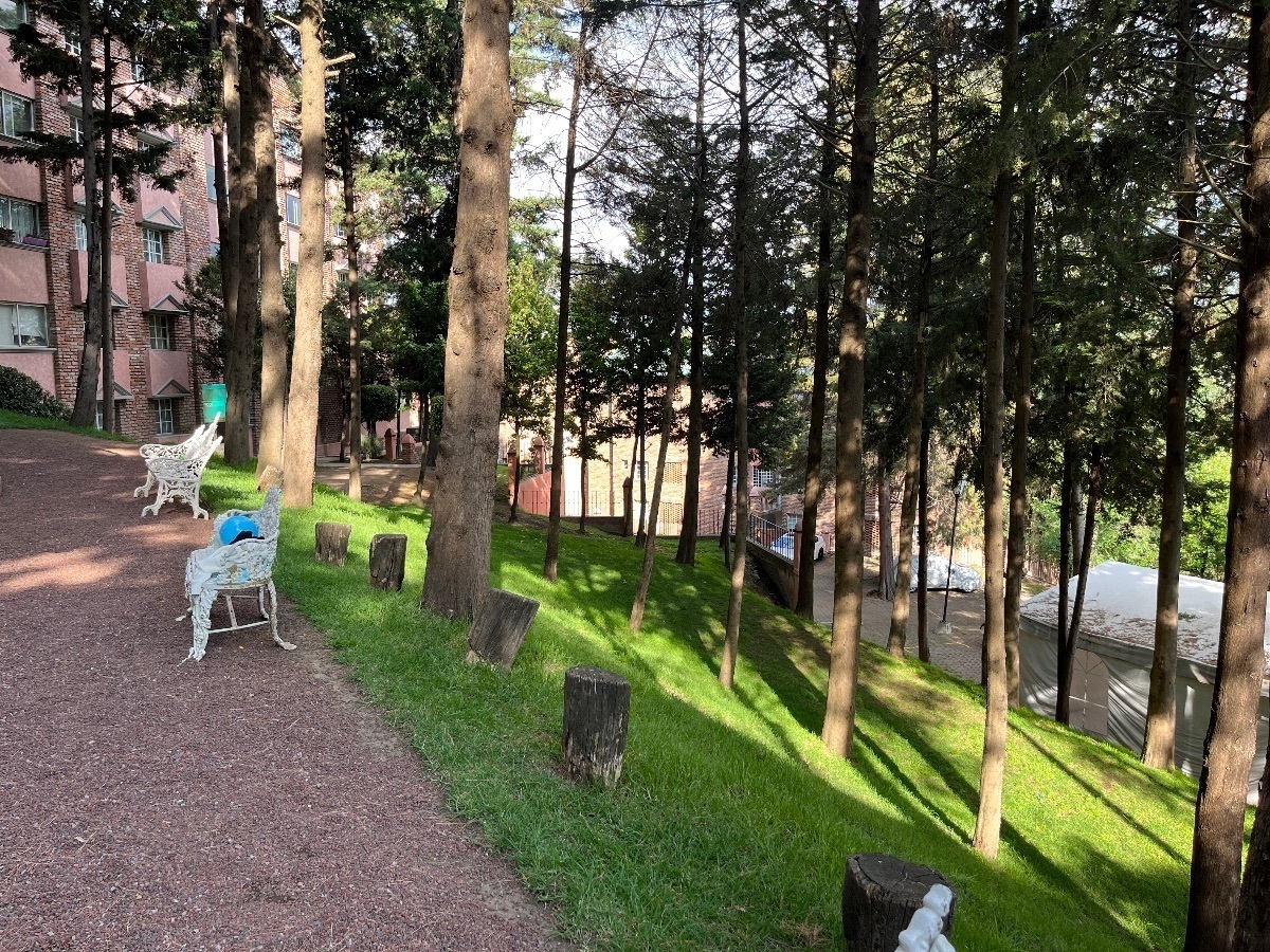 venta-departamento-en-desierto-de-los-leones25-35088