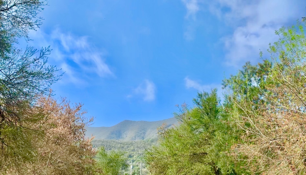 venta-lote-de-terreno-campestre-en-fraccionamiento-privado-santiago-nuevo-leon10-13307