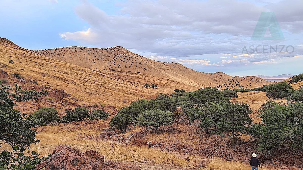 venta-rancho-ganadero-ubicado-en-carr-chihuahua--juarez11-33146