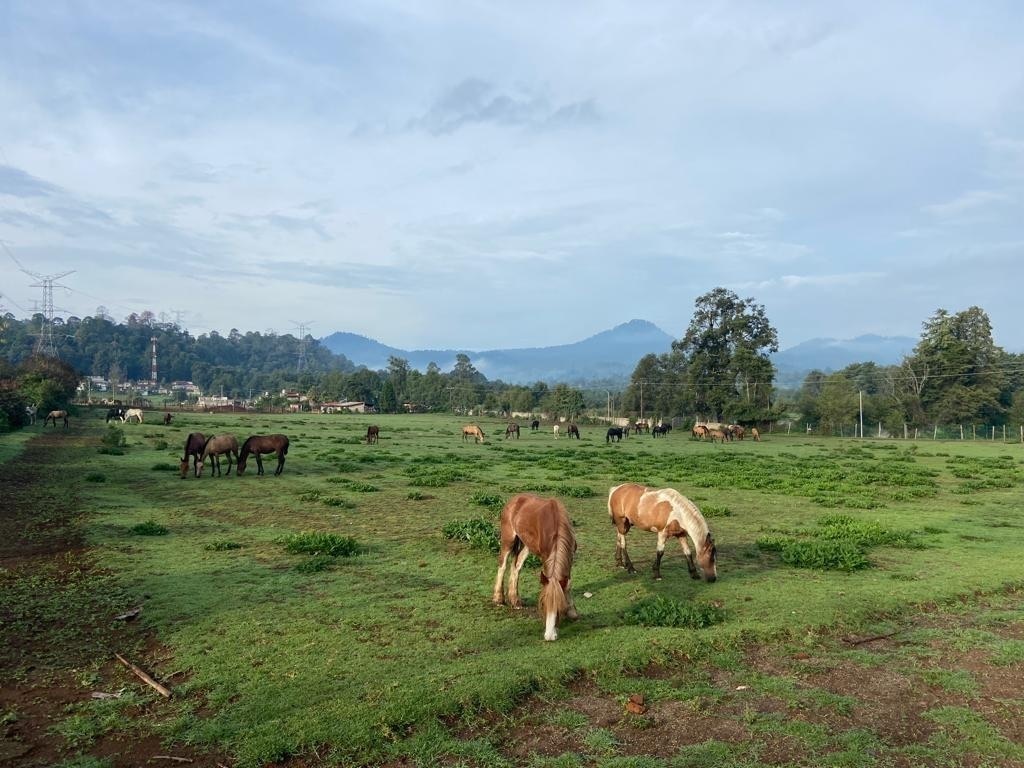 venta-terreno-en--valle-de-bravo4-18607