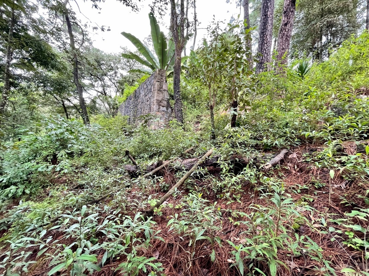 venta-terreno-en-avandaro-para-desarrollo--el-arroyo5-18660